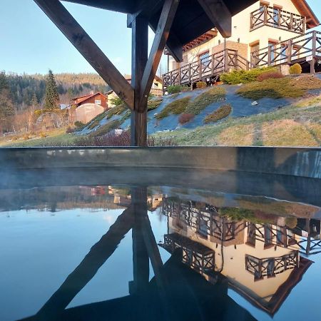 Chata Pod Gorka Visla Exteriér fotografie