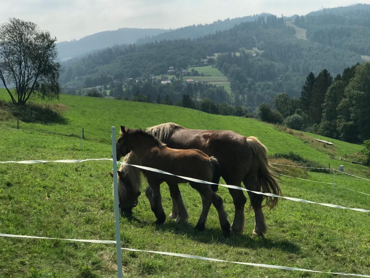 Chata Pod Gorka Visla Exteriér fotografie