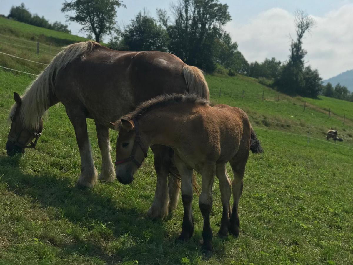Chata Pod Gorka Visla Exteriér fotografie