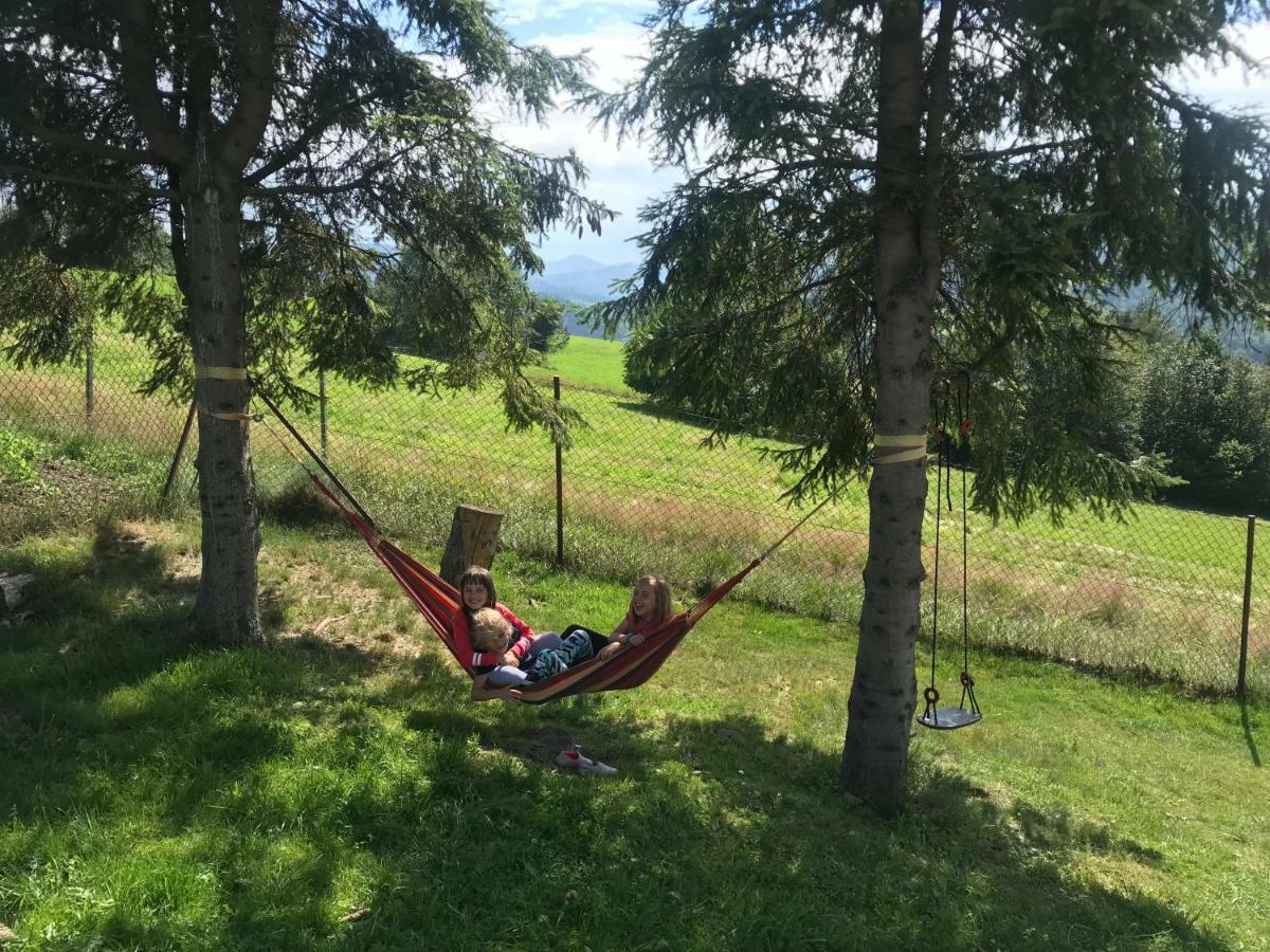 Chata Pod Gorka Visla Exteriér fotografie